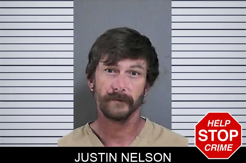 Justin Nelson mugshot – Gordon County , Georgia Justin Nelson mugshot