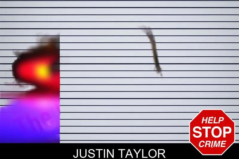 Justin Taylor mugshot – Bacon County , Georgia Justin Taylor mugshot