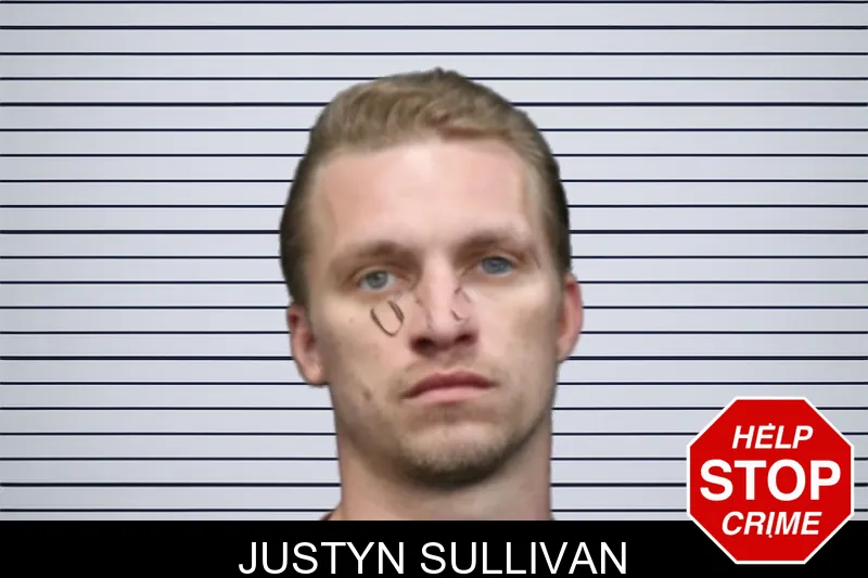 Justyn Sullivan mugshot – Forsyth County , Georgia Justyn Sullivan mugshot