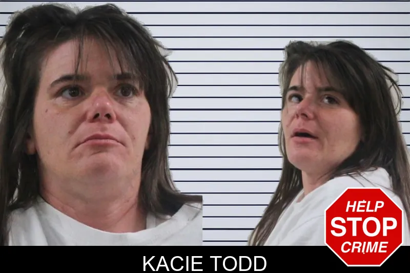 Kacie Todd mugshot – Houston County , Georgia Kacie Todd mugshot