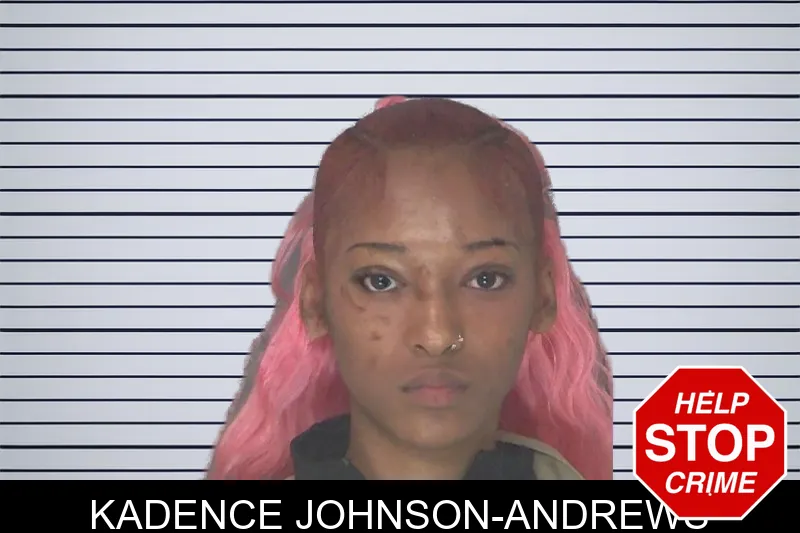 Kadence Johnson-Andrews mugshot