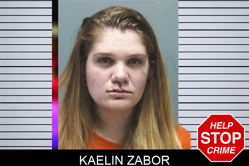 Kaelin Zabor mugshot – Cherokee County , Georgia Kaelin Zabor mugshot