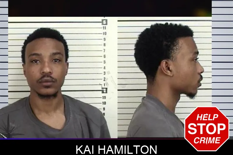Kai Hamilton mugshot – Camden County , Georgia Kai Hamilton mugshot