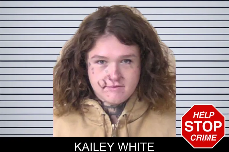 Kailey White mugshot – Walker County , Georgia Kailey White mugshot