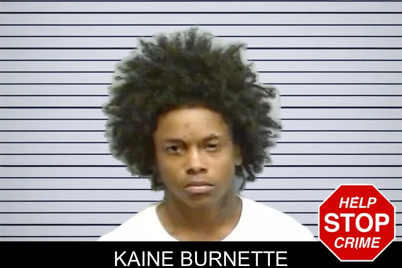 Kaine Burnette mugshot – Fulton County , Georgia Kaine Burnette mugshot