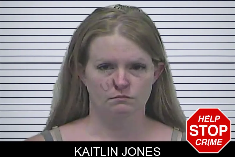 Kaitlin Jones mugshot – Dawson County , Georgia Kaitlin Jones mugshot