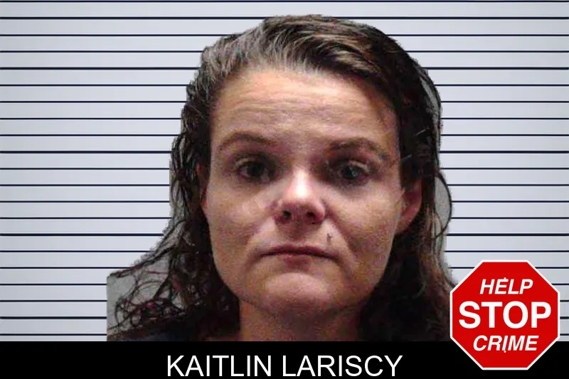 Kaitlin Lariscy mugshot – Burke County , Georgia Kaitlin Lariscy mugshot