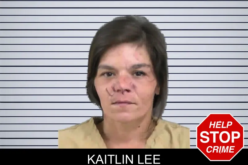 Kaitlin Lee mugshot