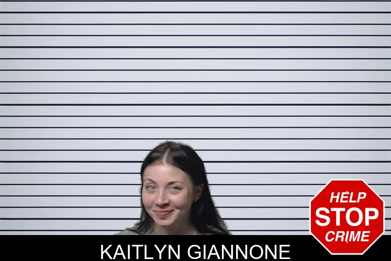 Kaitlyn Giannone mugshot – DeKalb County , Georgia Kaitlyn Giannone mugshot