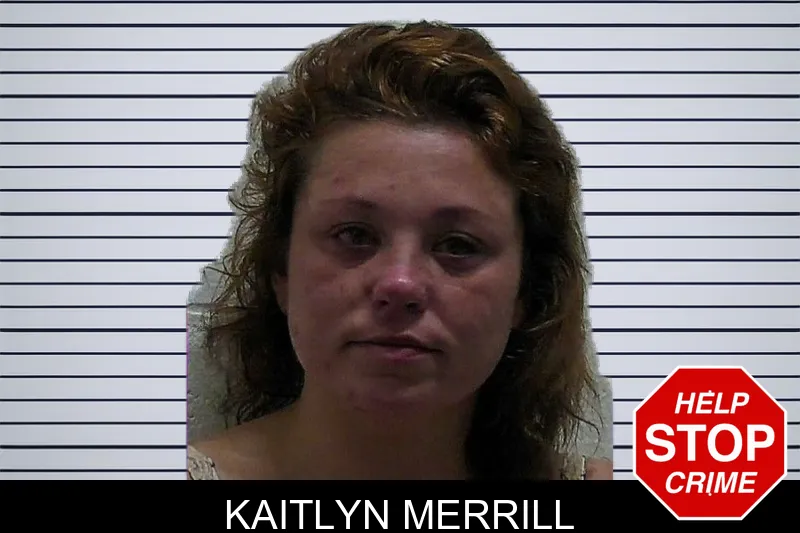 Kaitlyn Merrill mugshot – Pierce County , Georgia Kaitlyn Merrill mugshot