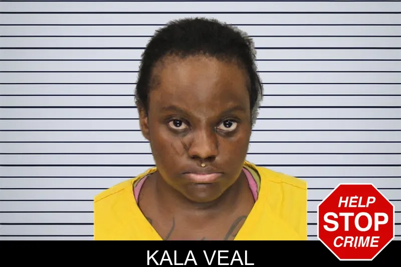 Kala Veal mugshot – Cobb County , Georgia Kala Veal mugshot