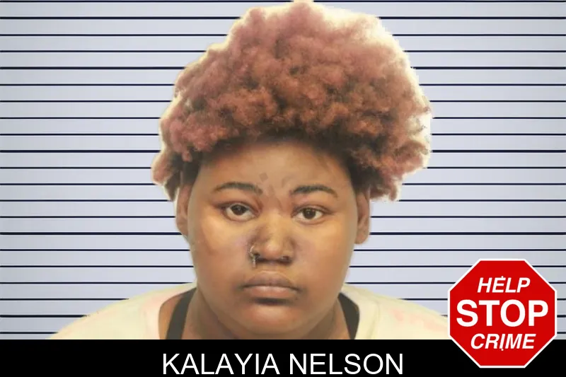 Kalayia Nelson mugshot – Chatham County , Georgia Kalayia Nelson mugshot
