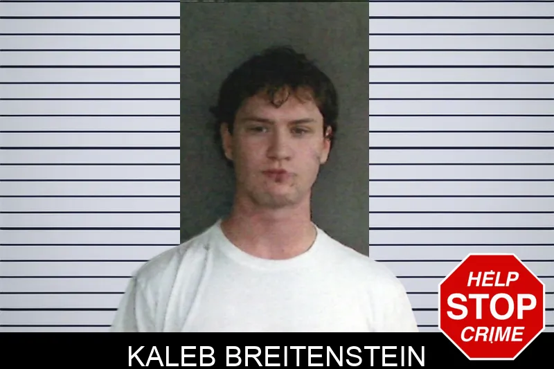 Kaleb Breitenstein mugshot – Twiggs County , Georgia Kaleb Breitenstein mugshot