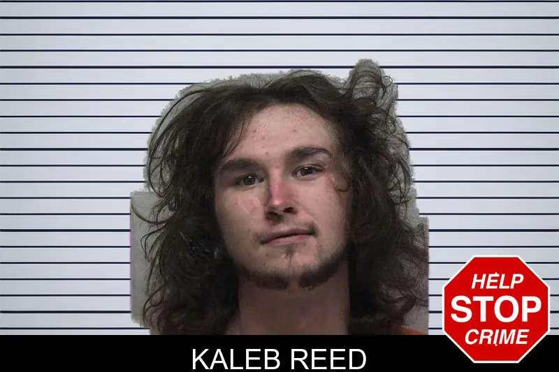 Kaleb Reed mugshot – Laurens County , Georgia Kaleb Reed mugshot