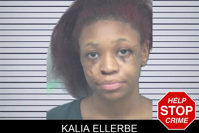 Kalia Ellerbe mugshot – Gwinnett County , Georgia Kalia Ellerbe mugshot