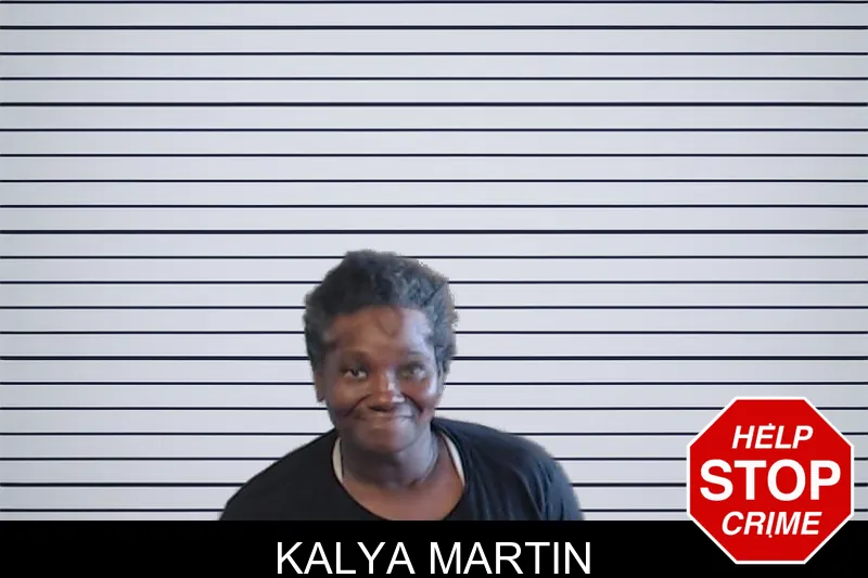 Kalya Martin mugshot – DeKalb County , Georgia Kalya Martin mugshot