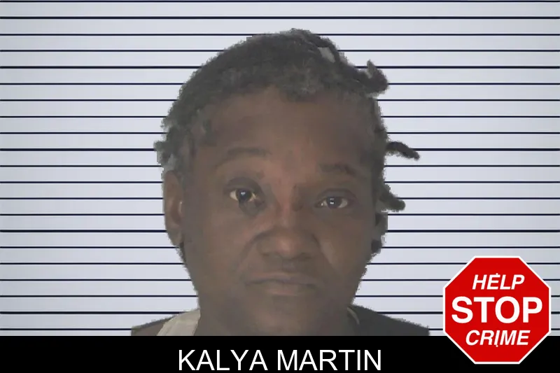 Kalya Martin mugshot – Douglas County , Georgia Kalya Martin mugshot