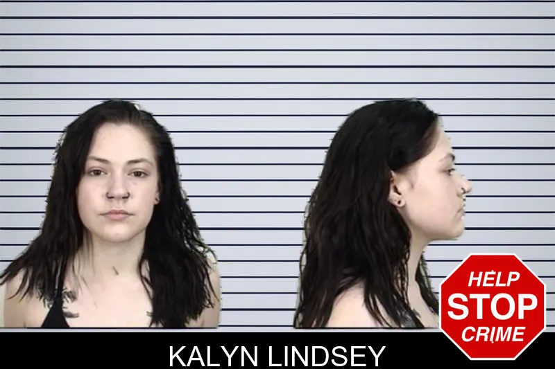 Kalyn Lindsey mugshot – Camden County , Georgia Kalyn Lindsey mugshot