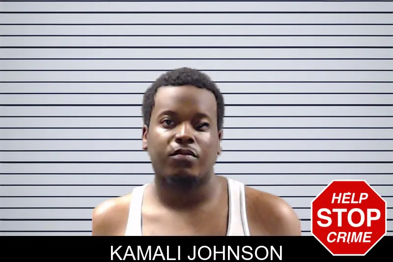 Kamali Johnson mugshot – DeKalb County , Georgia Kamali Johnson mugshot