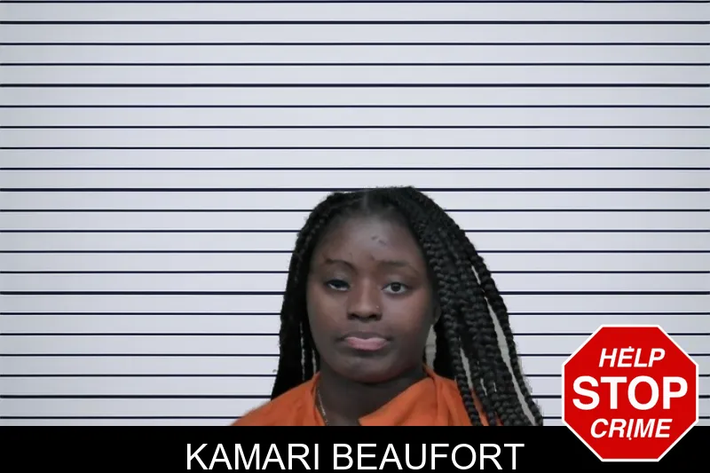 Kamari Beaufort mugshot – Ben Hill County , Georgia Kamari Beaufort mugshot