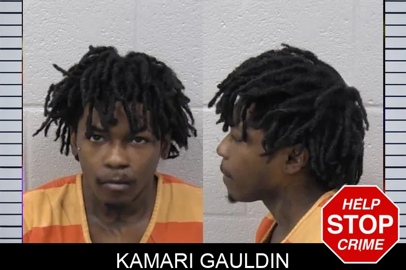 Kamari Gauldin mugshot – Paulding County , Georgia Kamari Gauldin mugshot