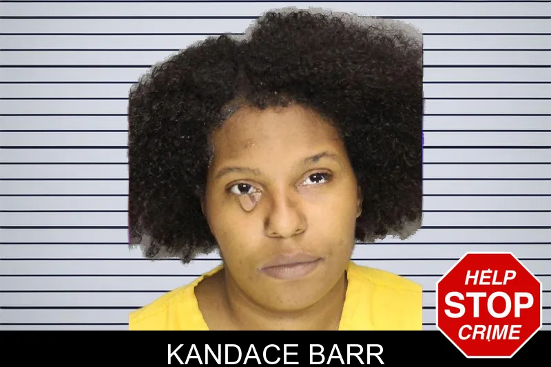 Kandace Barr mugshot – Cobb County , Georgia Kandace Barr mugshot