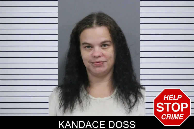 Kandace Doss mugshot – Catoosa County , Georgia Kandace Doss mugshot