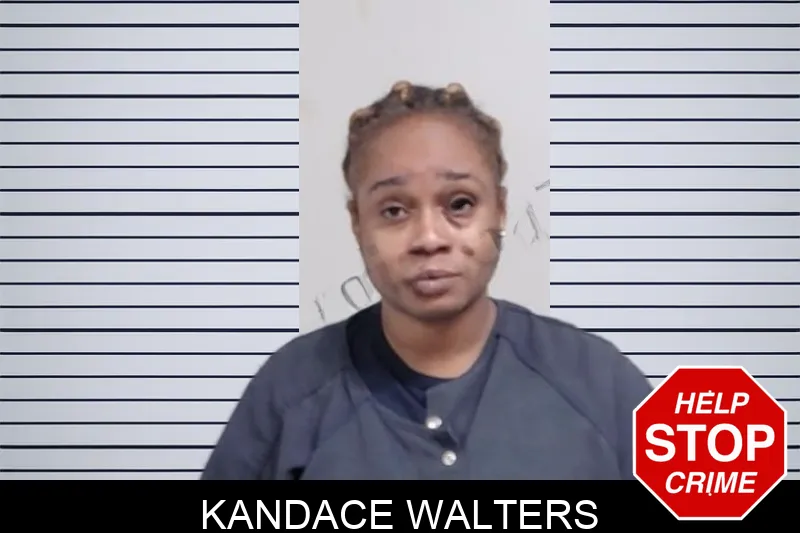 Kandace Walters mugshot – Lowndes County , Georgia Kandace Walters mugshot