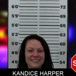 Kandice Harper mugshot – Hart County , Georgia Kandice Harper mugshot