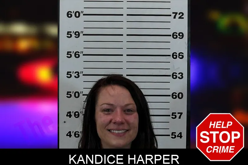 Kandice Harper mugshot – Hart County , Georgia Kandice Harper mugshot