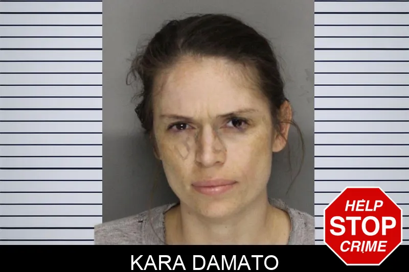 Kara Damato mugshot – Cobb County , Georgia Kara Damato mugshot