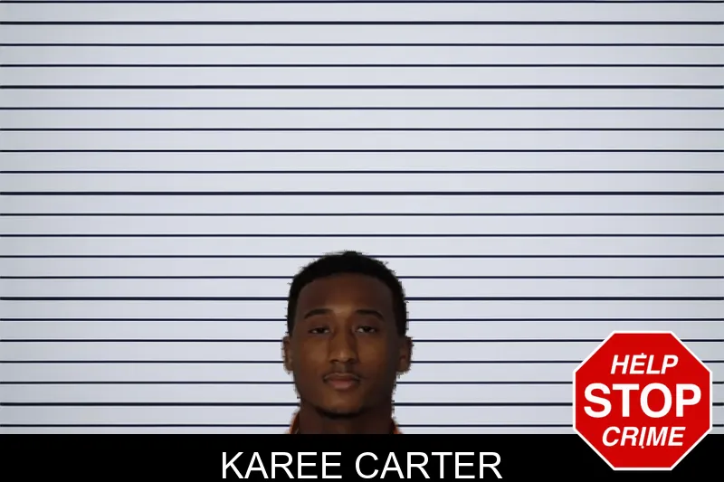 Karee Carter mugshot – Rockdale County , Georgia Karee Carter mugshot