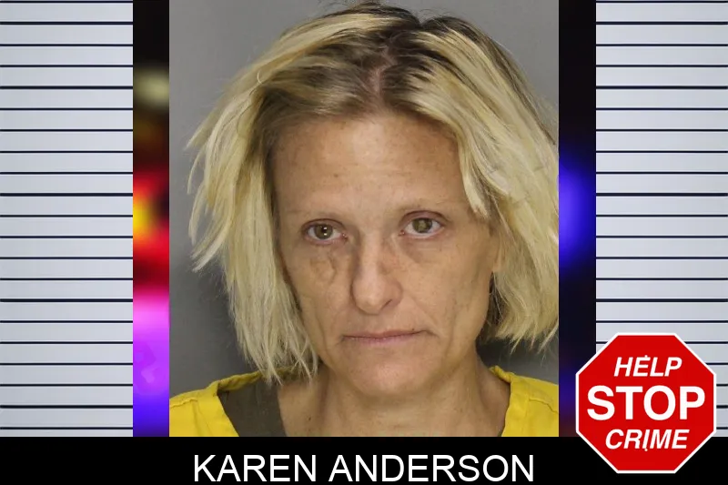 Karen Anderson mugshot – Cobb County , Georgia Karen Anderson mugshot