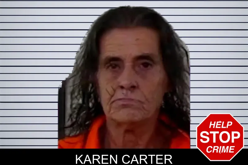 Karen Carter mugshot – Liberty County , Georgia Karen Carter mugshot