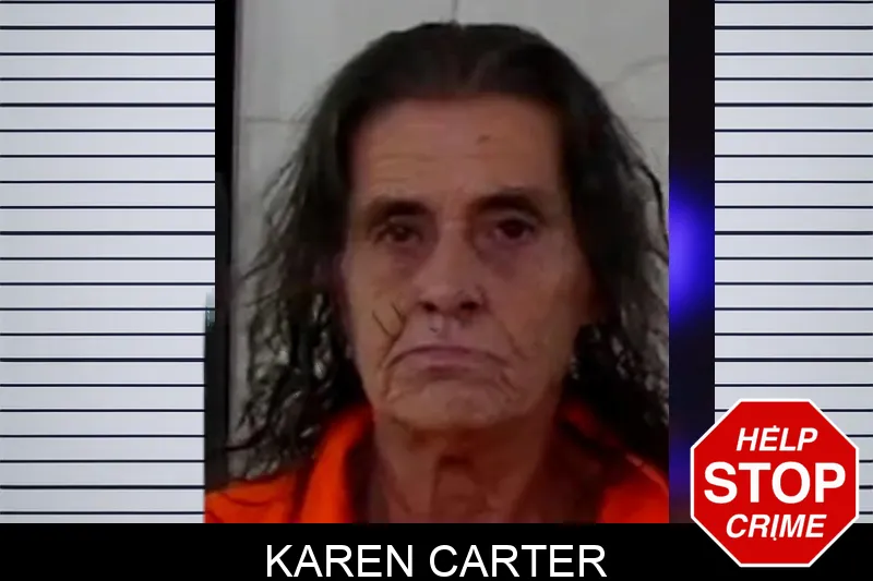 Karen Carter mugshot – Liberty County , Georgia Karen Carter mugshot