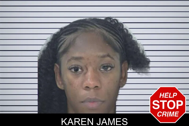 Karen James mugshot – Fayette County , Georgia Karen James mugshot