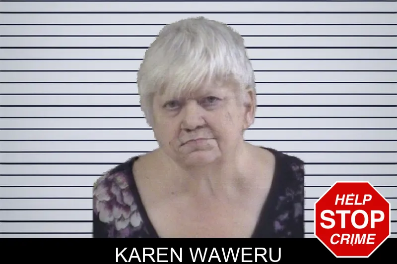 Karen Waweru mugshot – Whitfield County , Georgia Karen Waweru mugshot