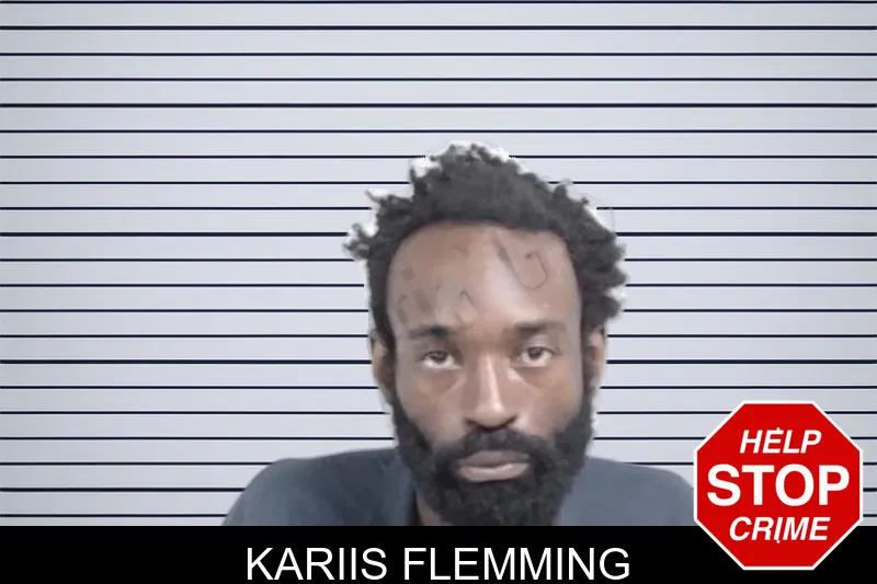 Kariis Flemming mugshot – Lowndes County , Georgia Kariis Flemming mugshot