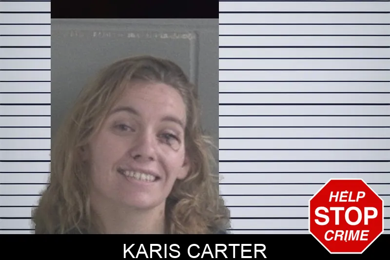 Karis Carter mugshot – Brantley County , Georgia Karis Carter mugshot