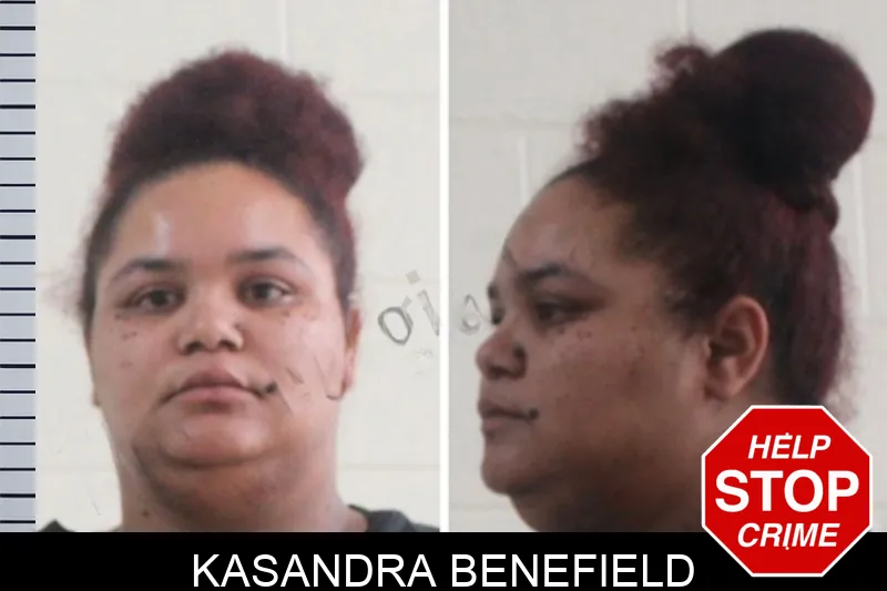 Kasandra Benefield mugshot – Houston County , Georgia Kasandra Benefield mugshot