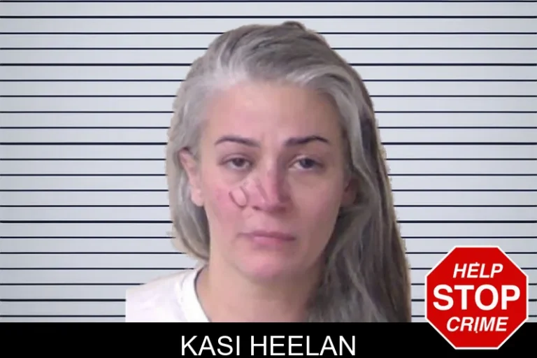 Kasi Heelan mugshot – Walker County , Georgia Kasi Heelan