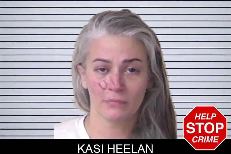 Kasi Heelan mugshot – Walker County , Georgia Kasi Heelan mugshot