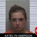 Katelyn Amerson mugshot – Laurens County , Georgia Katelyn Amerson mugshot