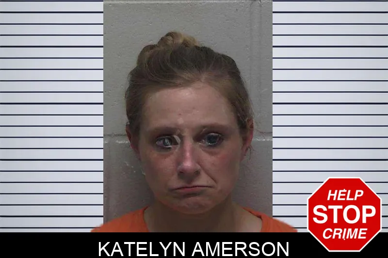 Katelyn Amerson mugshot – Laurens County , Georgia Katelyn Amerson mugshot