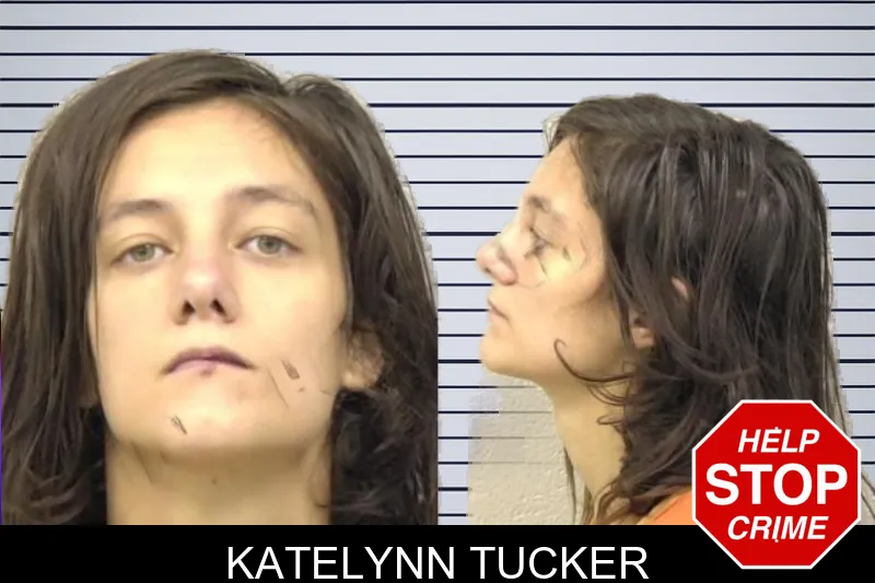 Katelynn Tucker mugshot