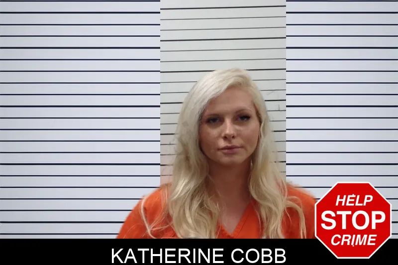 Katherine Cobb mugshot – Pickens County , Georgia Katherine Cobb mugshot