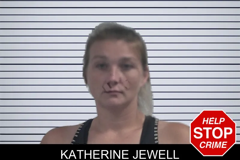Katherine Jewell mugshot – McDuffie County , Georgia Katherine Jewell mugshot