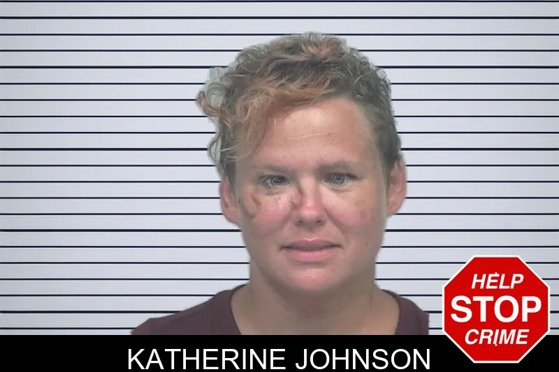Katherine Johnson mugshot – Gwinnett County , Georgia Katherine Johnson mugshot