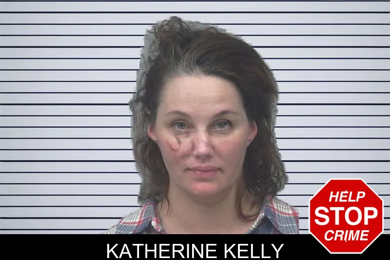 Katherine Kelly mugshot – Gwinnett County , Georgia Katherine Kelly mugshot