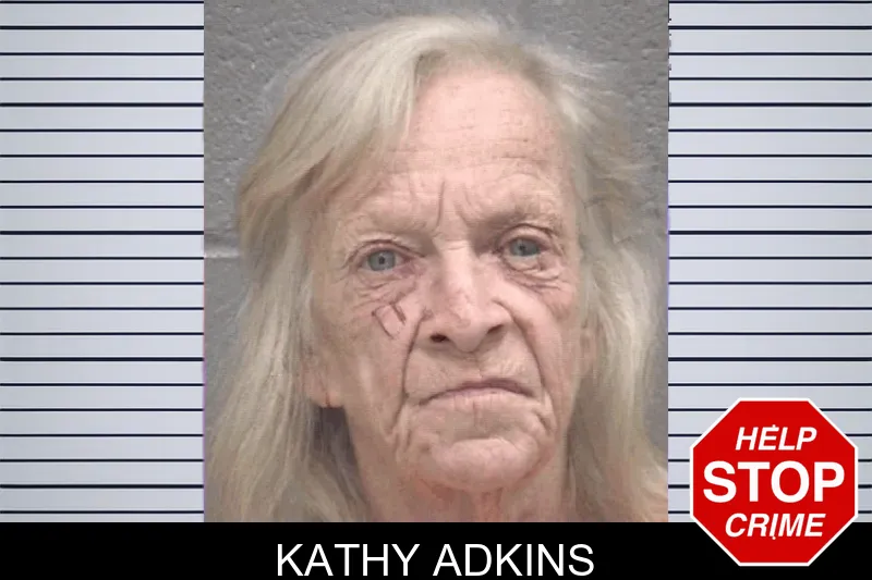 Kathy Adkins mugshot